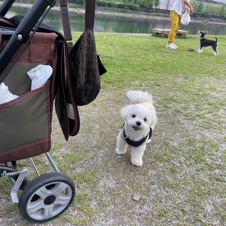 7837c600 cbf8 4e92 829a 6446fe360325 1655471608982