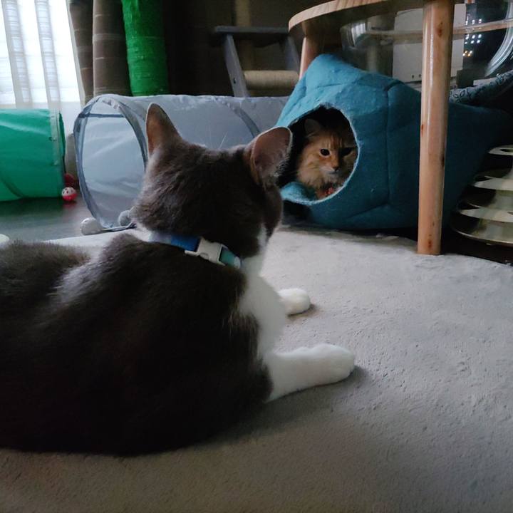 7837cb4d 09e3 42af 8678 95d6571e7f6d 1660360866616