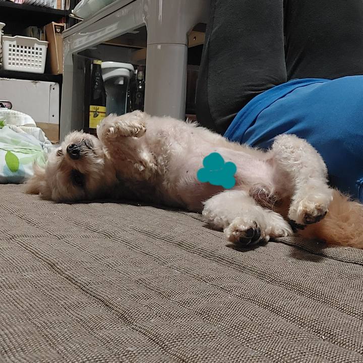 7838632c 290c 4f00 b8e8 b7a4b210a455 1634087325283