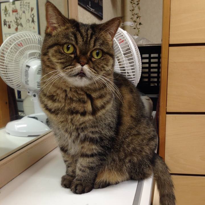 78387c24 c6b3 4460 afe1 efb5cd7eea69 1513816897386