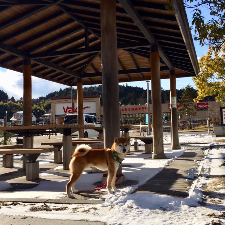 7838af5c dfd3 43e2 966a fc0a57b8770a 1517311490595