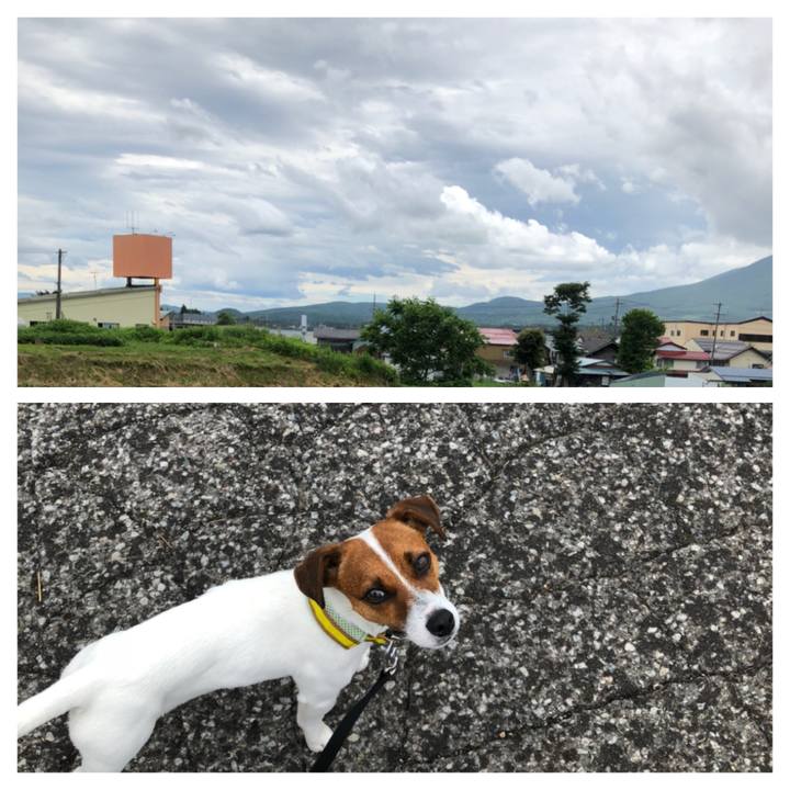 7838be68 0e81 495e 80d8 06888eddd979 1530070717578