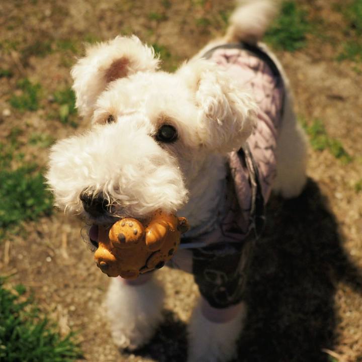 7838dcd1 58e4 4939 9e61 fa66c1d880d1 1521808100736