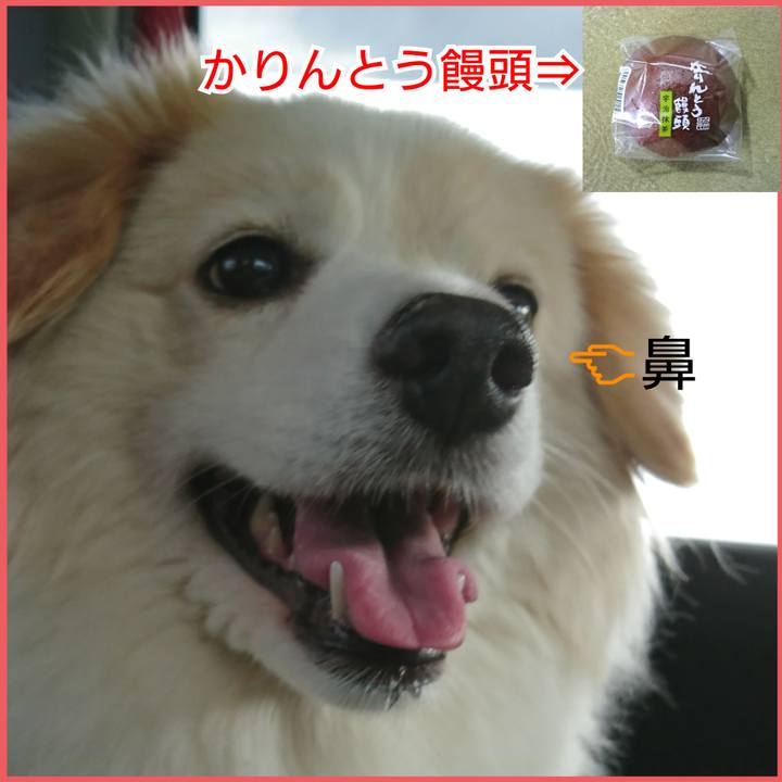 7838ef9d dbcb 4cf7 b294 d5a7af0b8716 1530223332049