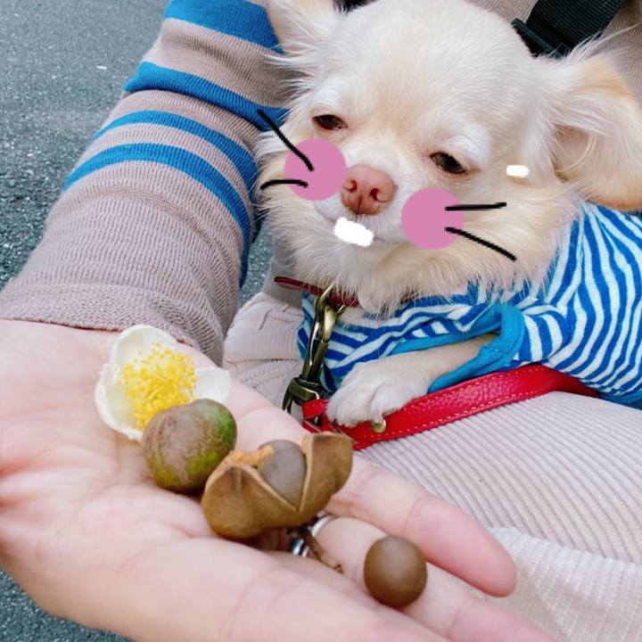 7839282b a4a8 4018 ab29 605bc3a8de24 1636005852417