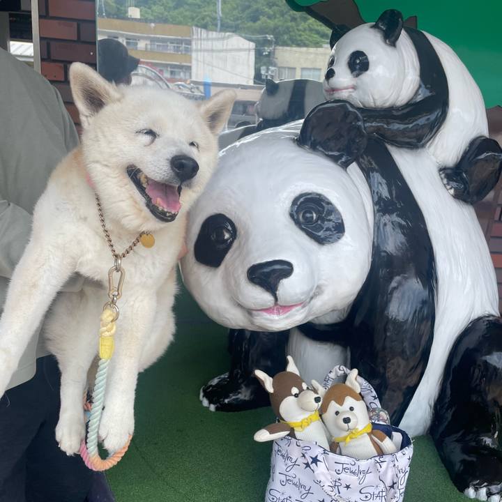 78393438 c1ca 424f 8065 399d9da8a3b3 1749325895493