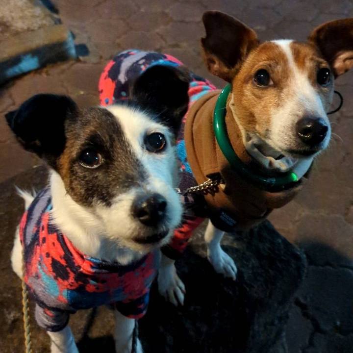 78393e16 8cca 44d3 af54 bf8fefcbf8c1 1738402464365