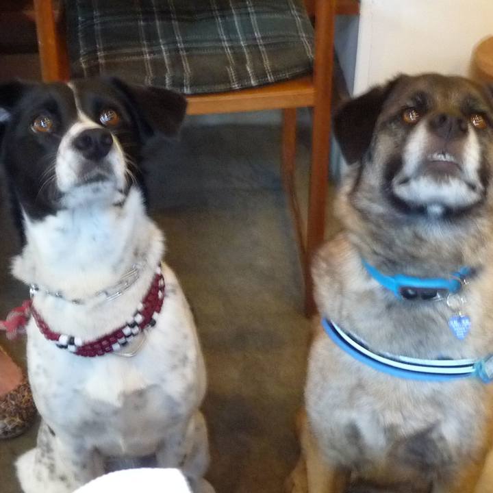 783943ff bc1c 4297 a88f 57f6902fbed6 1683161046102