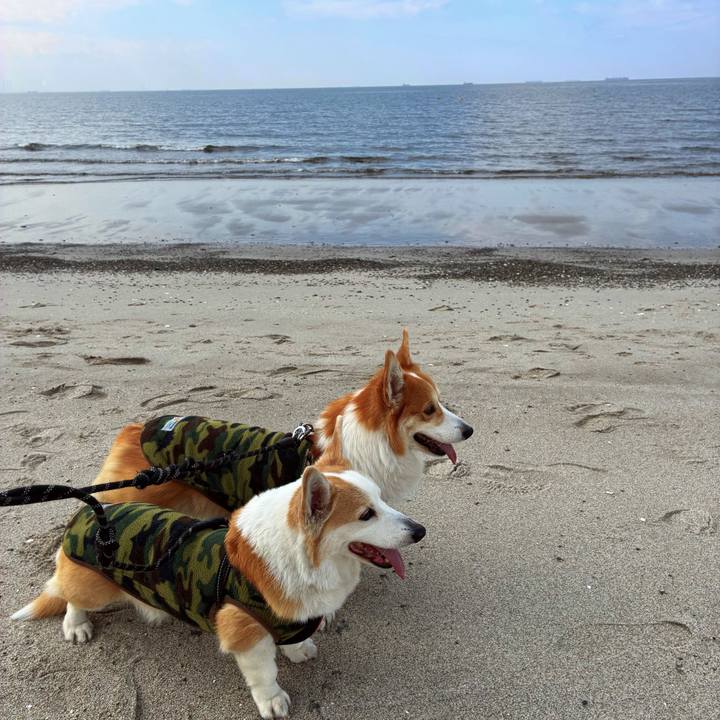 78394602 ee4e 401a 8b04 15e5e8aef679 1773819896236