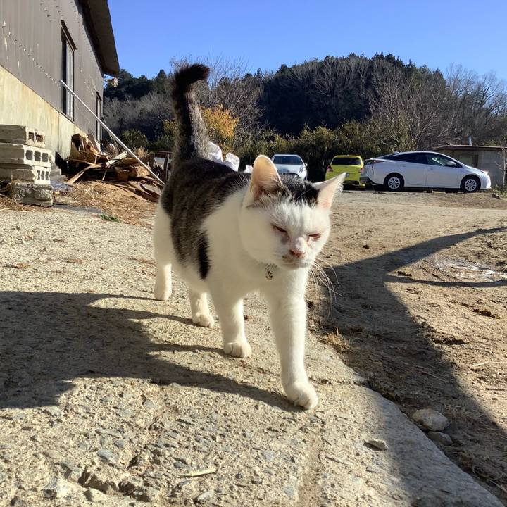 78394fb0 05c3 4f1b 89e8 c049bd2af960 1610861860698