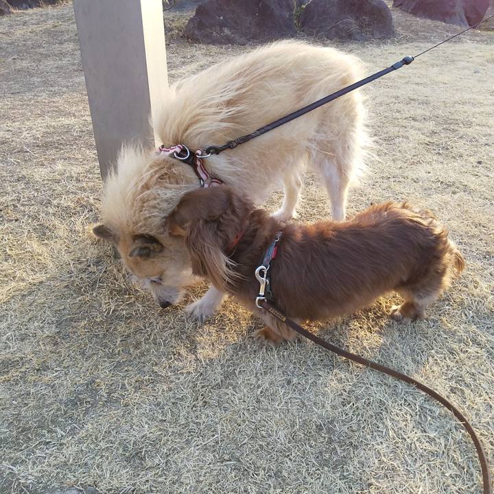 78395bd0 5793 4f62 a38e b18ee944da7d 1550996318269