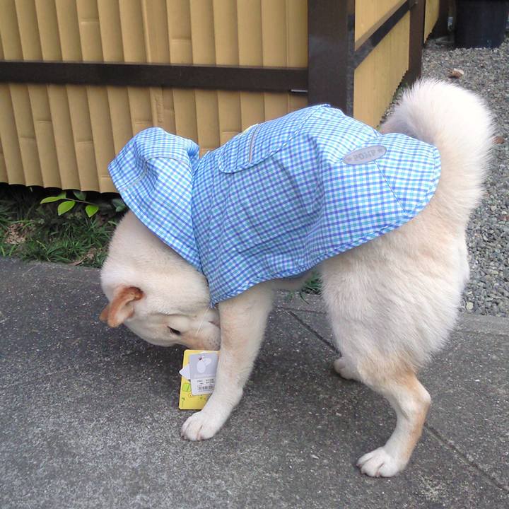 7839a955 ff28 400d 8f55 83d7795533c6 1656390415096