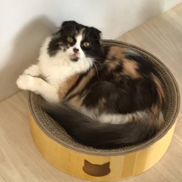 7839af1d cbde 4647 8c56 d6905994f799 1540707980123