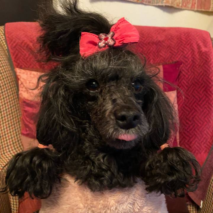 7839b148 1ee7 48f9 bd5b 1b45405fe631 1670283258552