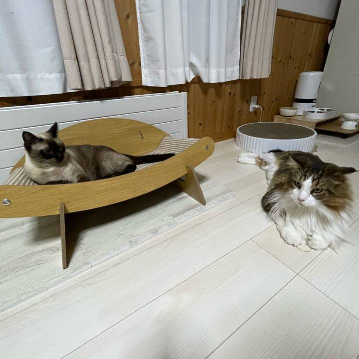 7839dda4 792c 4b80 bb98 79d56bcb5a3f 1756762029217