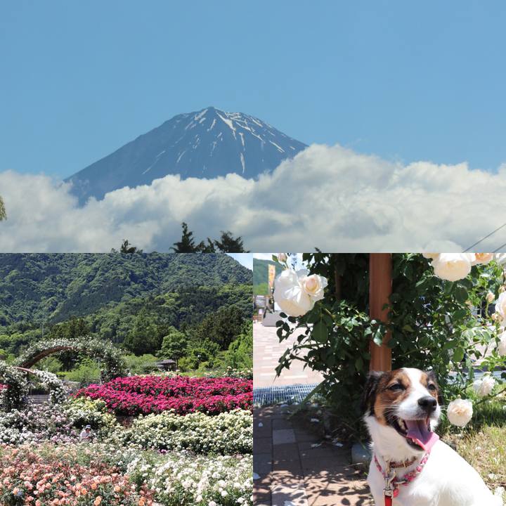 7839f25f 5aca 41c8 b16c 219aac42b37b 1526793726335