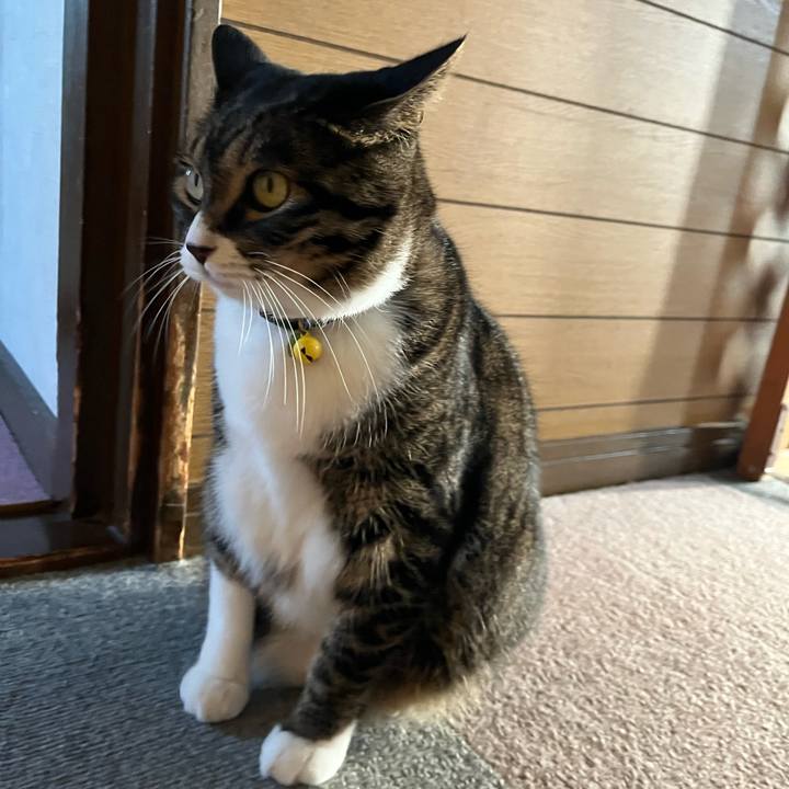 7839ff57 182b 4ffb ba30 d4f13df04fd1 1759361431881