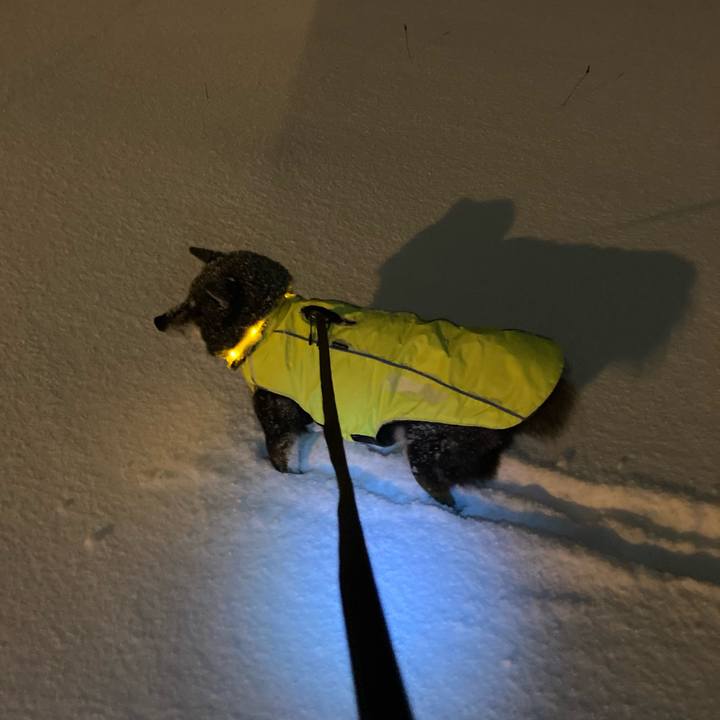 783a22ea c1df 4097 9e54 1004451cd636 1700867390493