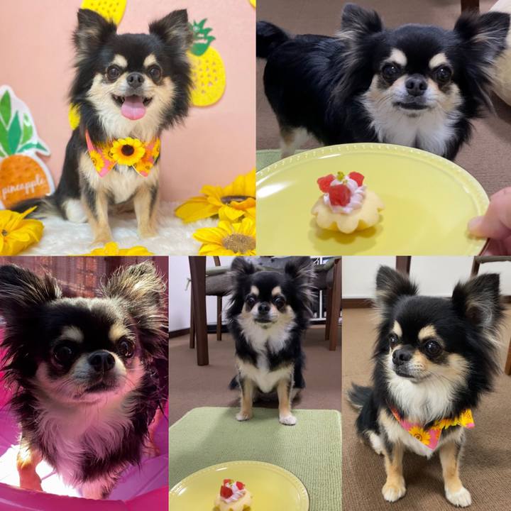 783a2ece a00c 4646 856e 41ade16bb5f3 1628830146315