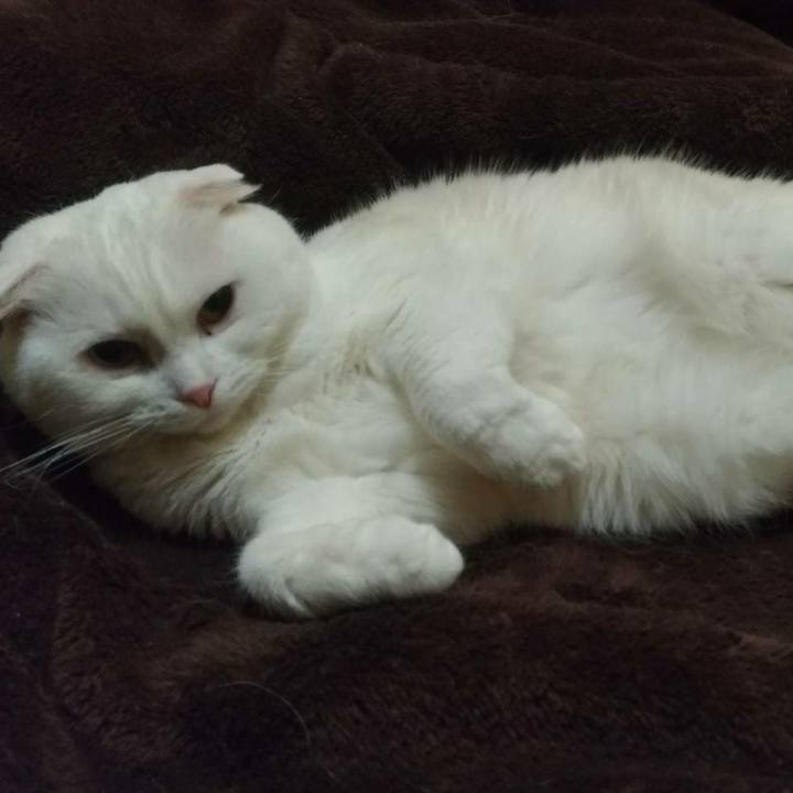 783a34a8 f5bf 49cf 8cb8 1b74f7582ad8 1537167031637