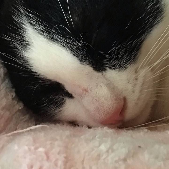 783a55af 0284 4f5c 9819 f2f4fd4add5d 1627955090052