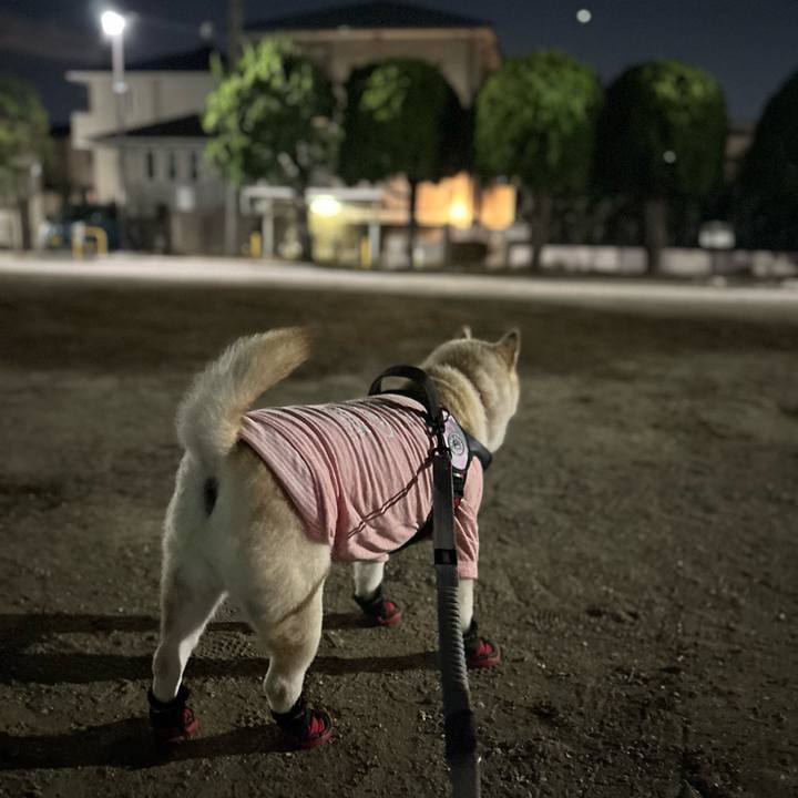 783a5d77 7a49 4b0e 9da8 0f1851937137 1734951304911