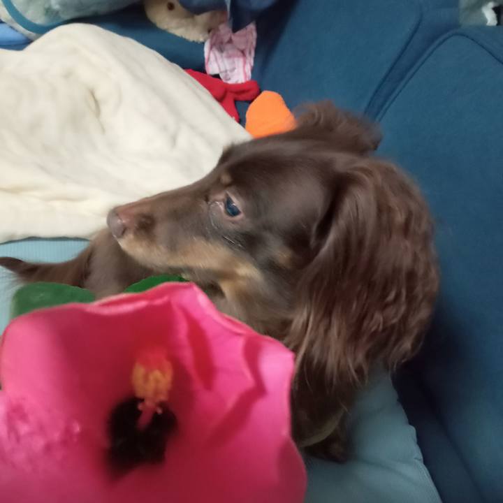 783a8cfb 56d2 4ee4 872c a7a91e55b6e7 1762292234578