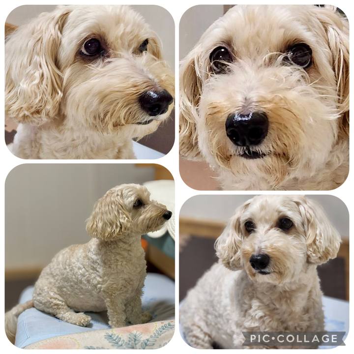 783a9736 3d2c 4768 8c8c 42cc4010ec5c 1757635448738