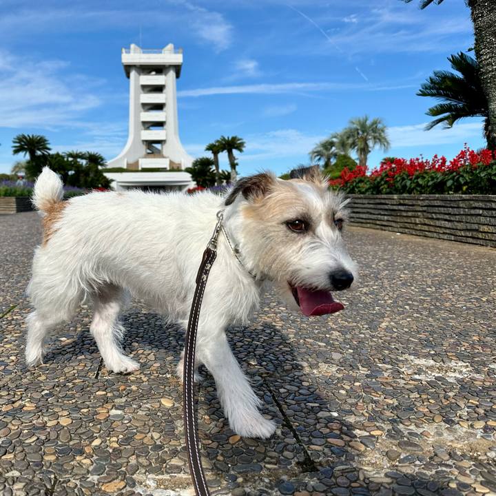 783abf09 15e9 4580 a04b f6b512eb27af 1759735267418