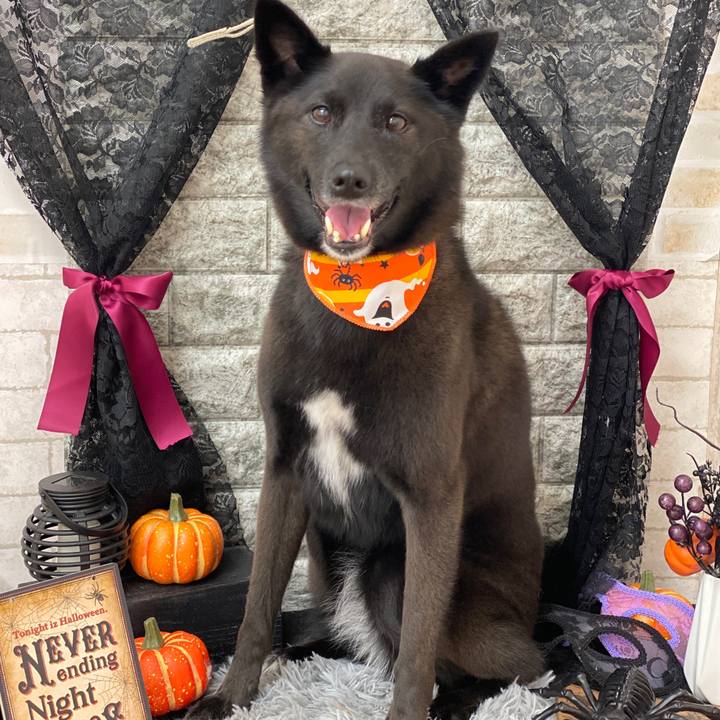 783b0a4b 5c72 4e41 aba2 faf0f3c1bc81 1698658339484