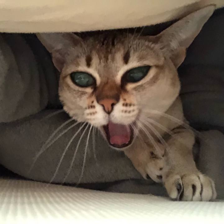 783b2d1d 6c16 40a0 a914 ad03766dca4c 1548459633840