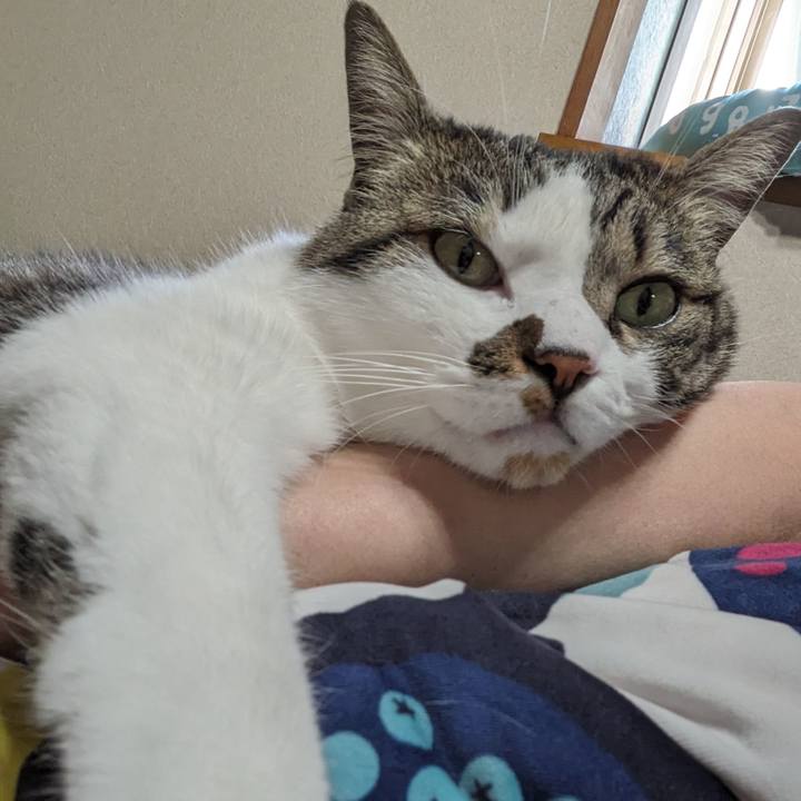 783b5dac 9cf7 4d17 9f88 32e5eee02114 1714282553333