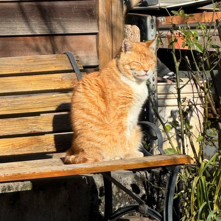 783b74a6 3363 4431 9b5d 021809fcbe78 1769136220574