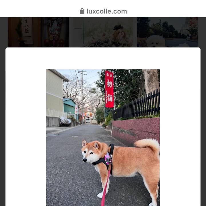 783b9414 d3db 4137 ba84 e56adb3c2b47 1675477434926