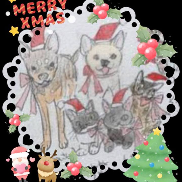 783bc272 6e53 4996 9ac6 3c90340d6e65 1671935027700