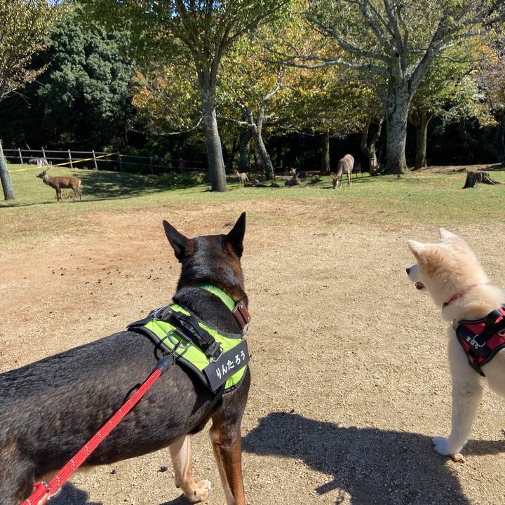 783bc39f 7ba6 409b 8af4 bae90644bd1c 1666166527617