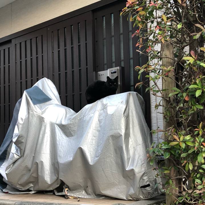 783bf860 7b58 488a a9ec 18eb4b88cbfb 1644045613215