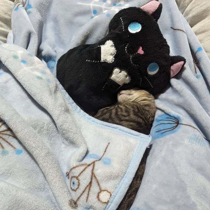 783c2530 1b0e 42bb 8fb7 3b2dbfd9a2e8 1704717516678