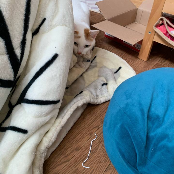 783c9ba2 1624 4e95 ba37 30926e4bf2d4 1613013822952