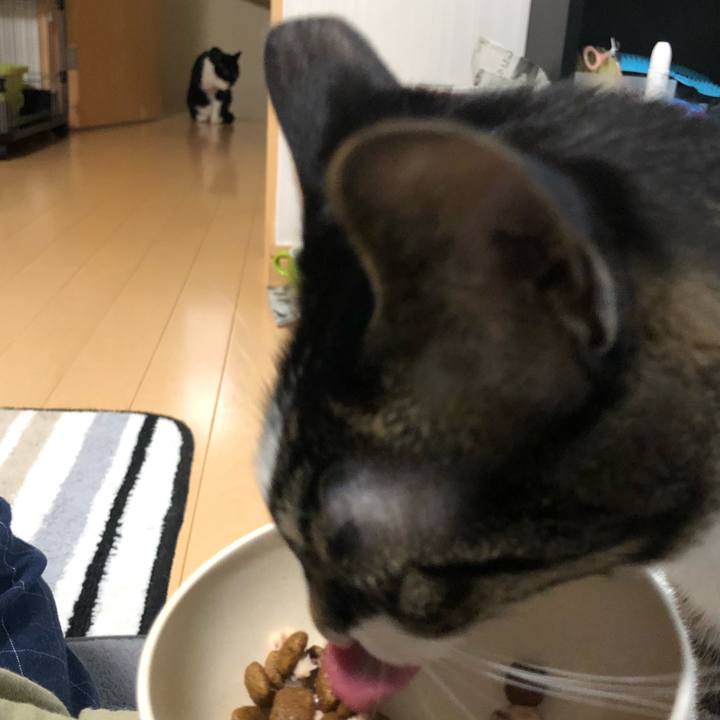 783ca3f8 8ff3 4534 bfcd fdedf666ec08 1590638822916