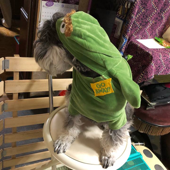 783cb791 72f1 4dde adec ba8b0ec209b4 1528982597131