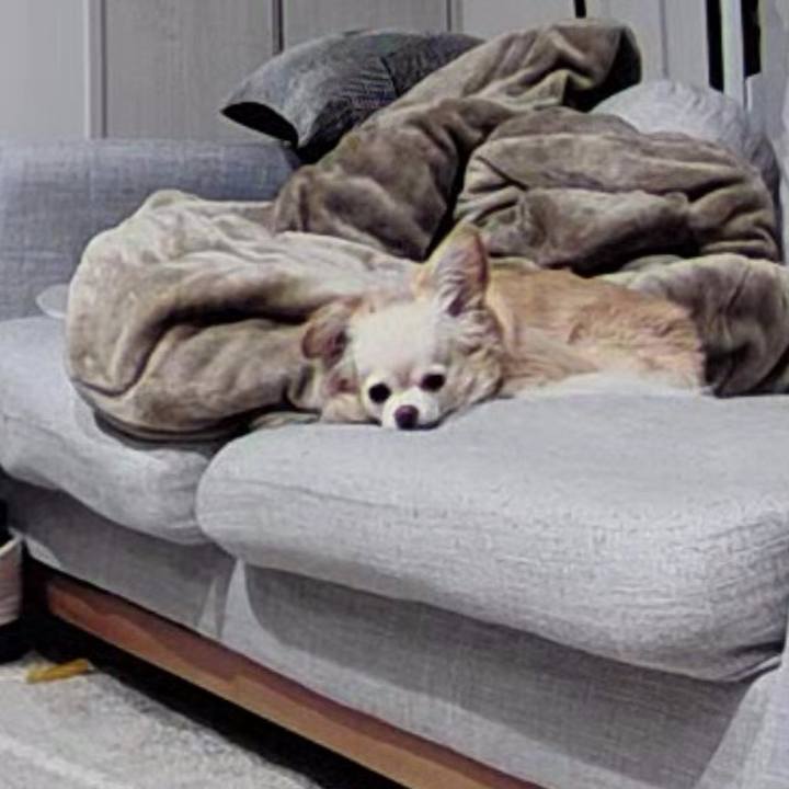 783cf6c3 7748 466e bc04 cedb2bf9b53d 1747741305531