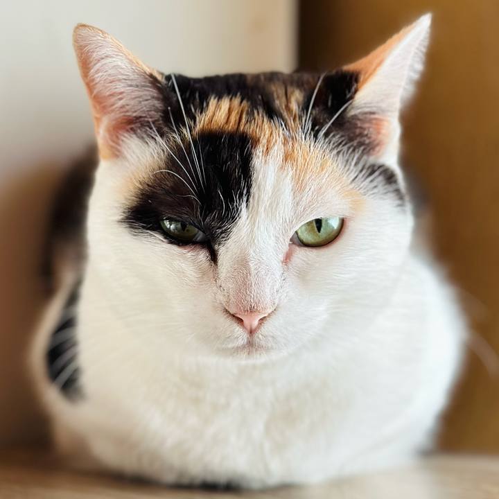 783d09c0 dc9f 45cc b5ed 90f127782d59 1726533975500