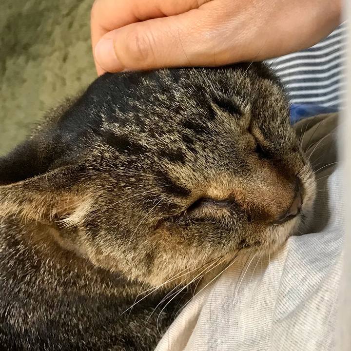 783d2962 ec2c 4299 a442 0fee1dbea447 1630539332744