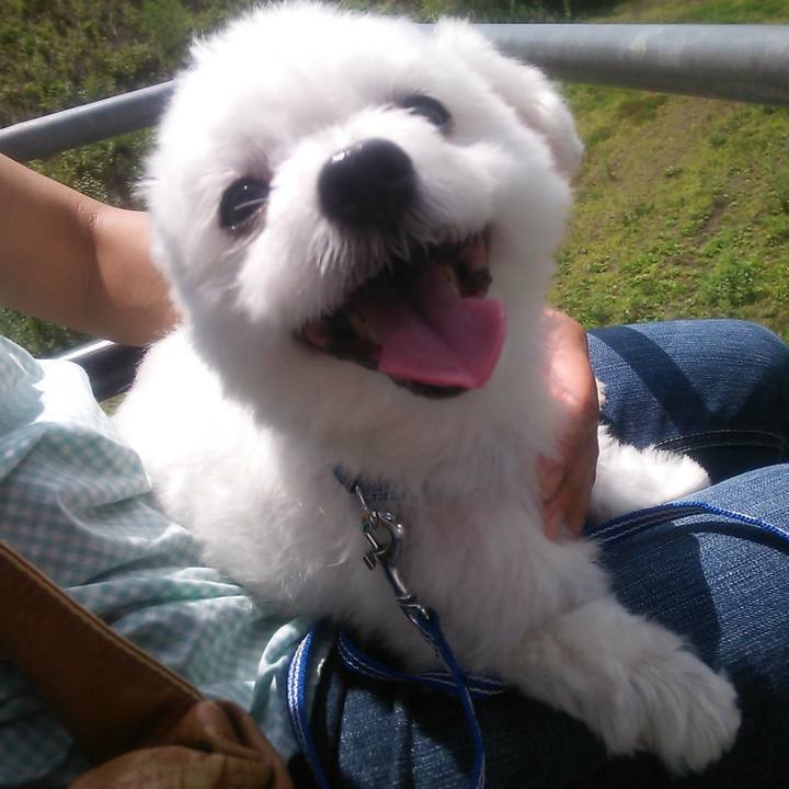 783d4d3d 05af 4add a5d5 75f4c53f2b51 1513984956678