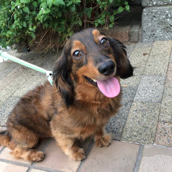 783d9ba3 358e 4fef 9c92 e18f883c0928 1596538137619