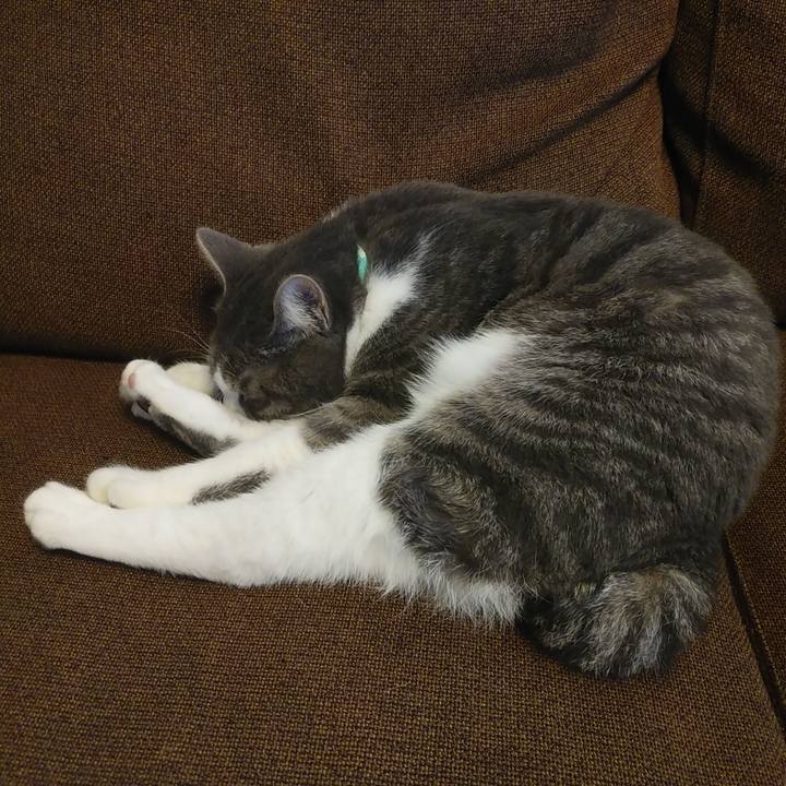 783dc994 ea1e 4e43 8522 32d13c44508b 1580180796287