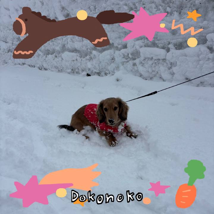 783dd3b2 3f7f 4efe acb2 58450952eaea 1772073350172