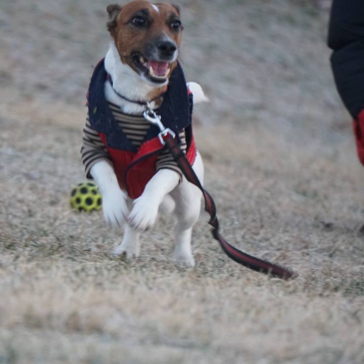 783dfd47 4936 45c6 b85e d5a417880fb2 1513637567571