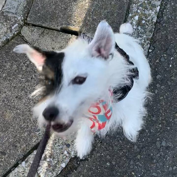 783e0a6a fc3b 4264 a90a 002c2a6f4e97 1660520435978